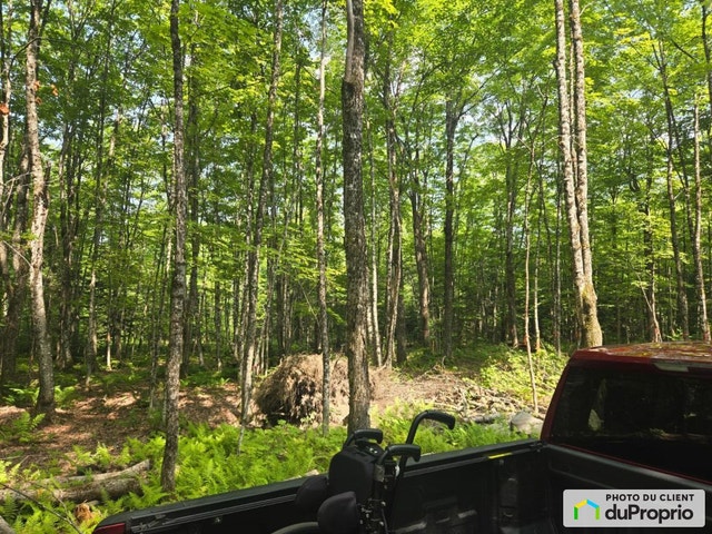 $115,000 - Wood Lot for sale in Milan — photo 1