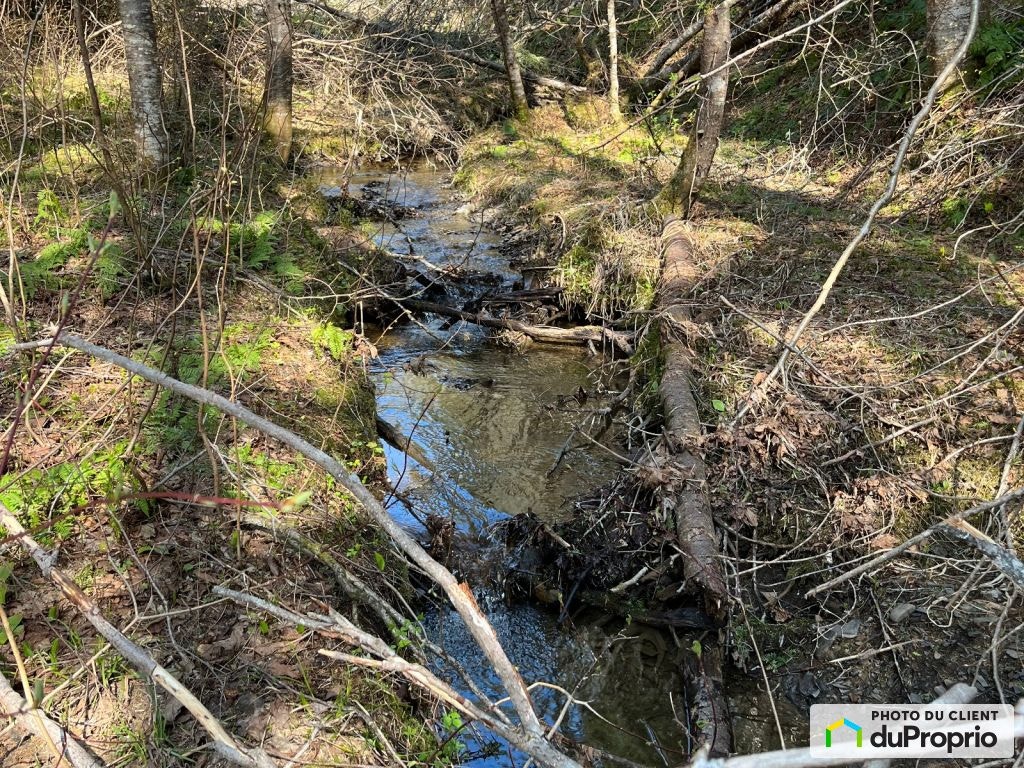 $131,850 - Wood Lot for sale in New Richmond — photo 3