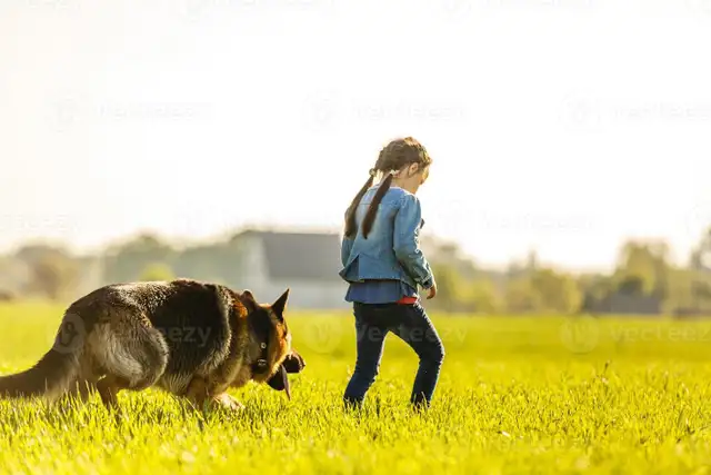 Reliable Dog Walking & Pet Care – Afternoons, Evenings & Weekend in Animal & Pet Services in Edmonton - Image 2