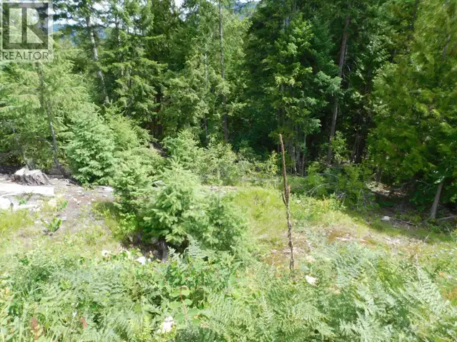 1365 Forest Road Castlegar, British Columbia in Land for Sale in Nelson - Image 4