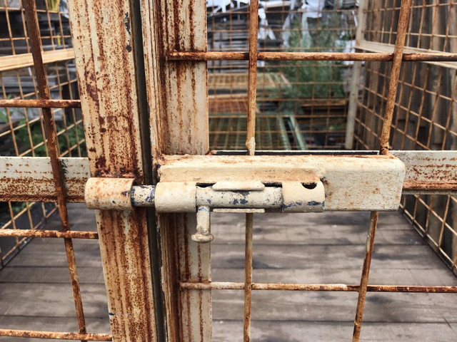 Grande cage à chien en métal dans Accessoires  à Drummondville - Image 3