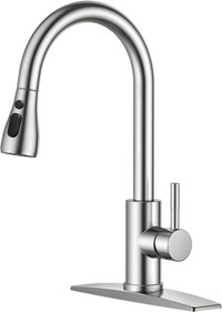 FORIOUS Kitchen Faucet with