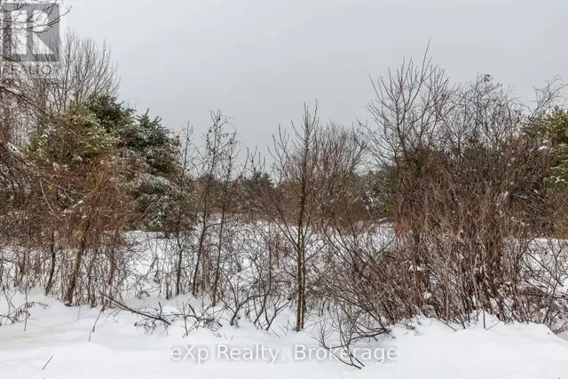 5716 COUNTY ROAD 9 Clearview, Ontario in Land for Sale in Oakville / Halton Region - Image 21