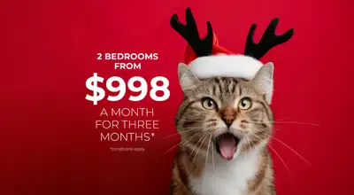 Come visit our Rental Centre Tuesday - Friday 10:30am - 7pm & Saturday 9am - 5pm. Broadstreet's Selk...