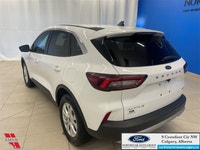 Low Mileage, Apple CarPlay, Android Auto, Power Liftgate, Blind Spot Detection, Lane Keep Assist! As... (image 6)