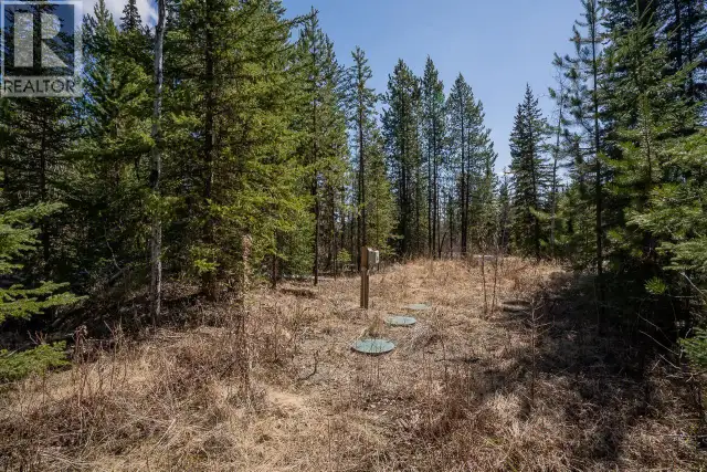6301 ARCHIE MEADOW ROAD Forest Grove, British Columbia in Land for Sale in 100 Mile House - Image 11