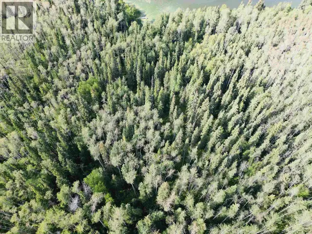 DL 941 SHAEFFER LAKE Burns Lake, British Columbia in Land for Sale in Burns Lake - Image 20