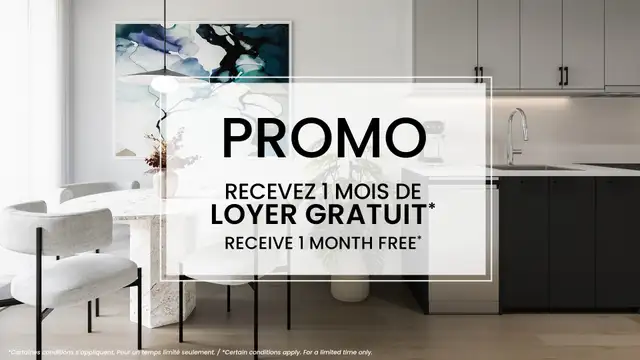 4.5 condo appartement neuf locatif Ville-Marie-Jacques in Long Term Rentals in City of Montréal - Image 2