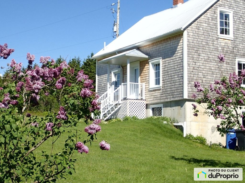 5e-et-6e rang — photo 1