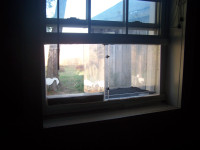 Cat (Pet) Box Window Solarium