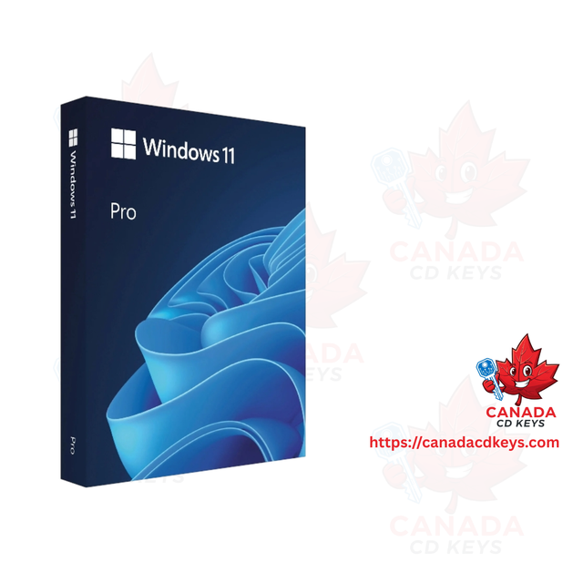 [LIFETIME] Microsoft Office Professional 2024 + Windows 11 Pro64357850549249122