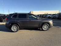 AMVIC Licensed Dealer AMVIC Licensed Dealer Stock #BF103005A Forge ahead with confidence in the comm... (image 9)