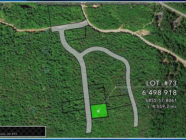 45 Ch. de la Fresque Val-des-Monts, Quebec62863321989379121