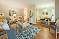SPACIOUS 1 BEDROOM APARTMENT FOR RENT IN WOODSTOCK! SELECT APARTMENTS FULLY REVITALIZED WITH MODERN... (image 3)