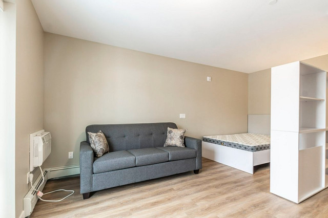Furnished Studio Apartment | AUGUST MOVE-IN in Long Term Rentals in Kitchener / Waterloo - Image 4