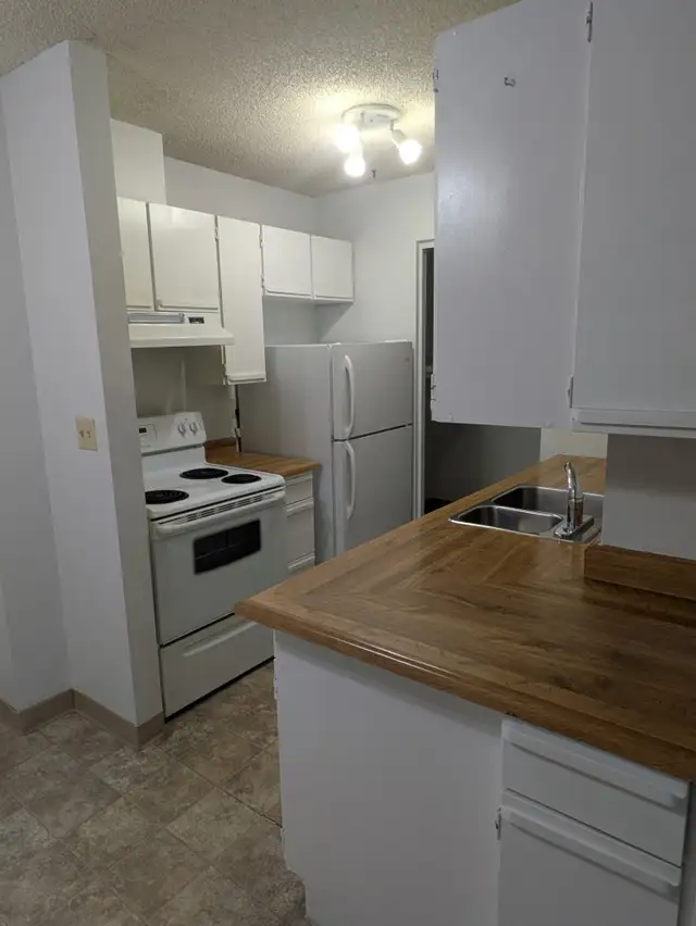 1 Bedroom - Senior Promo starting at $1295 (Heat & Water Incl.) in Long Term Rentals in Calgary - Image 3