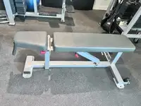 commercial flat to incline bench workout