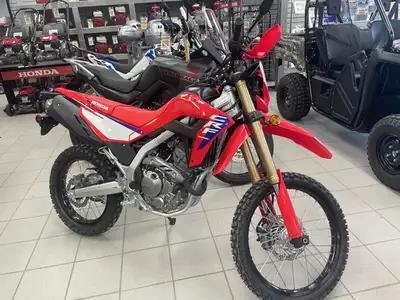 Engine Type: Single-Cylinder Displacement: 17.4 cu. in. (286 cc) Bore and Stroke: Bore: 2.99 in. (76...