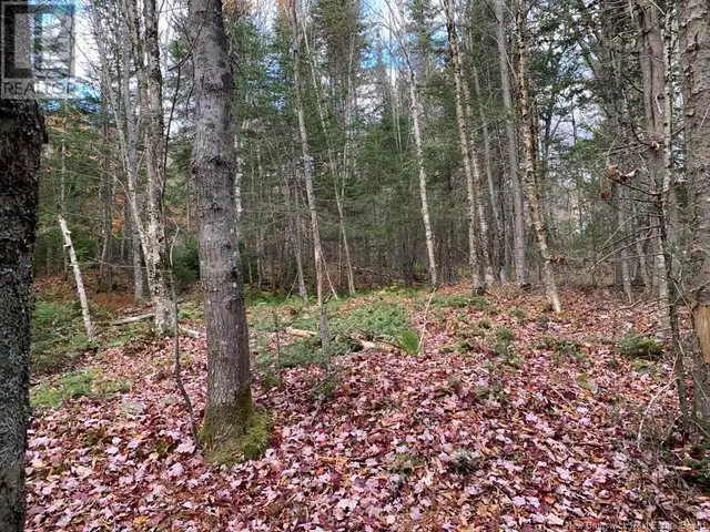 21-01 Worden Road Kingston, New Brunswick in Land for Sale in Saint John - Image 4