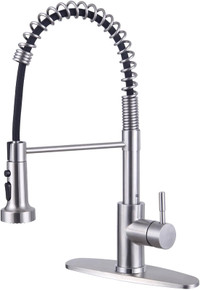 HOTTIST Kitchen Faucet with Pull Down