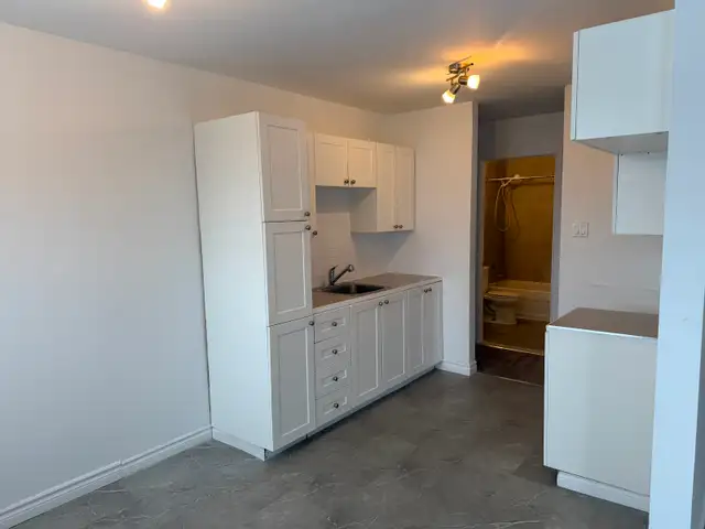 MAGNIFIQUE 5 1/2  RÉNOVÉ - LIBRE 15 MARS