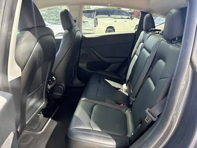 2023 Tesla Model Y Base5601878023766118419