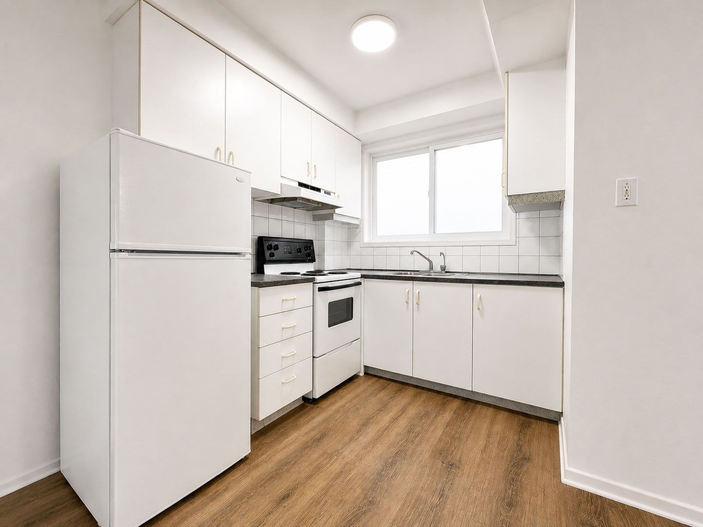 4301 Rue de la Roche — photo 2