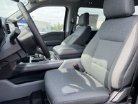 Welcome to Freedom Ford. **WE WILL BEAT ANY FORD DEALER IN THE CITY** The Ford F-Series has been the... (image 7)