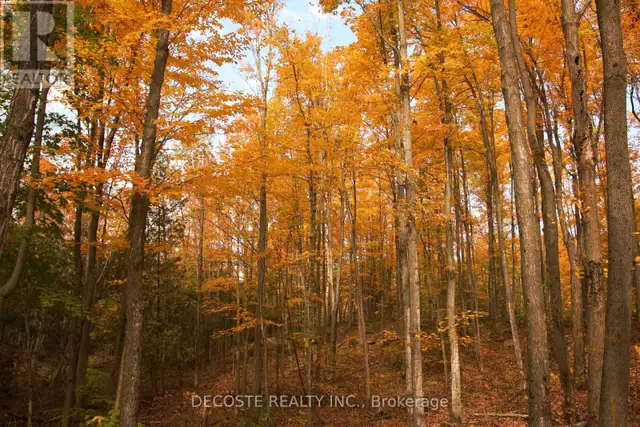 0000 COUNTY 43 ROAD North Glengarry, Ontario in Land for Sale in Ottawa - Image 26