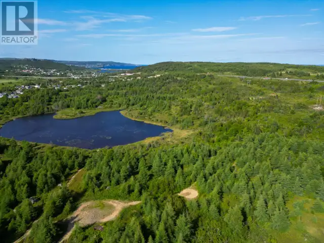 21 Reids Road Conception Bay North, Newfoundland & Labrador62864386139779122