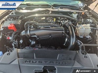 Look at this certified 2025 Ford Mustang EcoBoost Premium | Leather | Heated Wheel + Seats | CarPlay... (image 8)
