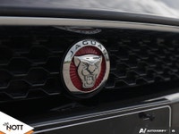 Heated Front Seats, Heated Steering Wheel, Cruise Control, Dual Climate Control, Panoramic Glass Roo... (image 8)