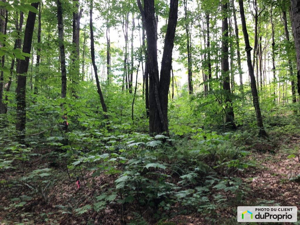 $159,900 - Price taxes included - Residential Lot in Eastman — photo 3