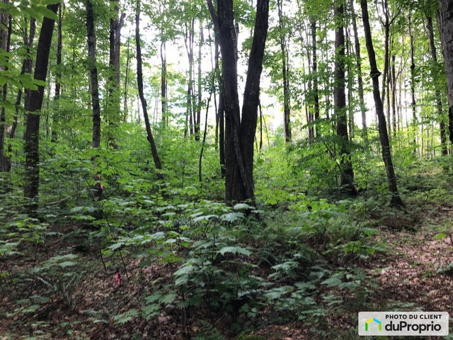 $159,900 - Price taxes included - Residential Lot in Eastman — photo 3