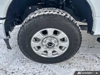 *The NO HASSLE Pre-Owned Experience* • No Hassle Pricing • 14-Day/1,000 km Exchange Privilege • 30-D... (image 8)