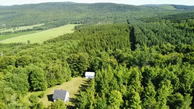 St-Sylvestre (Chaudière-Appalaches) : Terre à bois 97,24 acres63384445510147122