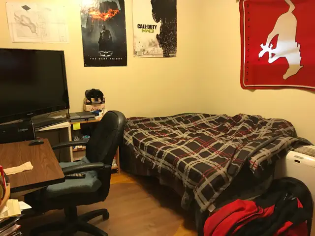 Photo 8