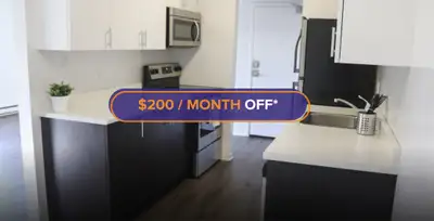 Apartment for Rent at North Murray Street, Downtown Trenton