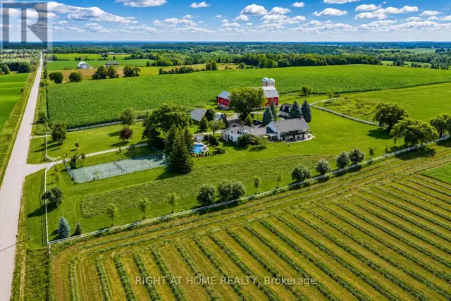 828350 MULMUR NOTTAWASAGA TOWNLINE Mulmur, Ontario in Land for Sale in Barrie - Image 3