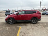 Red 2021 Honda Sport 4D Sport Utility AWD CVT 1.5L I4 Turbocharged DOHC 16V LEV3-ULEV50 190hp AWD. D... (image 3)