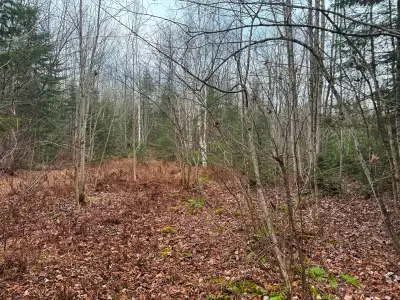 Stratford, Estrie. Situé à proximité du Lac Aylmer, très grand terrain zoné BLANC de 127 658 pi.ca....
