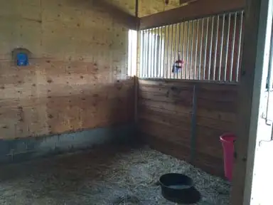 Horse Boarding Callander Area in Equestrian & Livestock Accessories in North Bay - Image 5