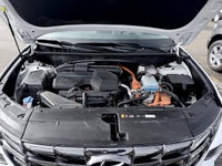 Crowfoot Hyundai, AMVIC Licensed Dealer Mileage: 38,279 km History: No accidents, One Owner Skip the... (image 2)