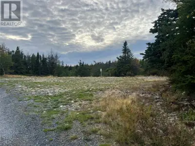 Prime piece of land extending 411 feet along Southern Brook in Riverhead, Harbour Grace. A portion i...