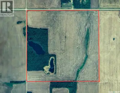 317 Titled Acres of Productive Farmland – Yellow Creek, SK Area -- A strong opportunity to expand yo...