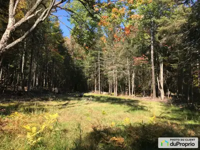 Magnifique terrain boisé de 18.4 acres ou 800 793 pieds carrés situé à Rivière-Rouge dans les Hautes...