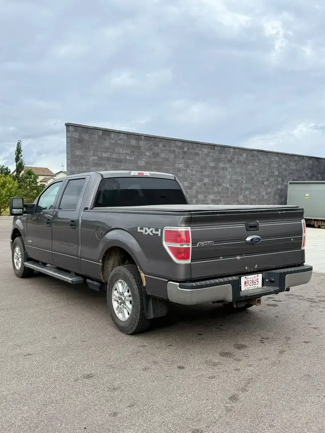 2013 Ford F 150562911347024209929