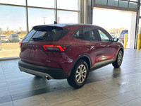 ENGINE: 1.5L ECOBOOST, LANE DEPARTURE WARNING, HEATED FRONT SEATS Keen for a vehicle that combines s... (image 8)