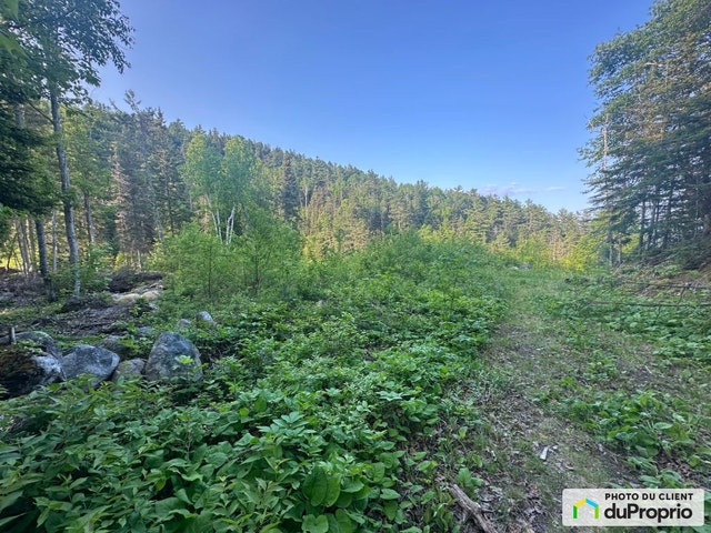 $240,000 - Residential Lot for sale in St-Irenee — photo 2