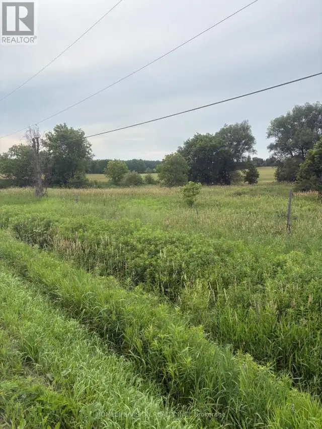 0 HIGHWAY 89 Innisfil (Cookstown), Ontario in Land for Sale in Barrie - Image 4